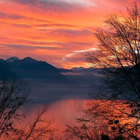 Heidi - Direct View * Brienz (Bern)