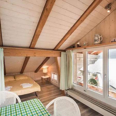 Heidi - Direct View 브리엔츠