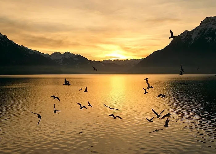 Heidi - Direct View * Brienz (Bern)