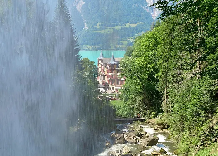 Heidi - Direct View