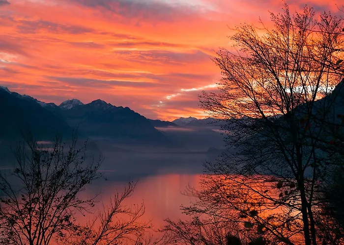 Heidi - Direct View * Brienz (Bern)