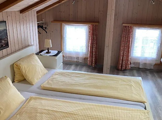 Heidi - Direct View * ブリエンツ