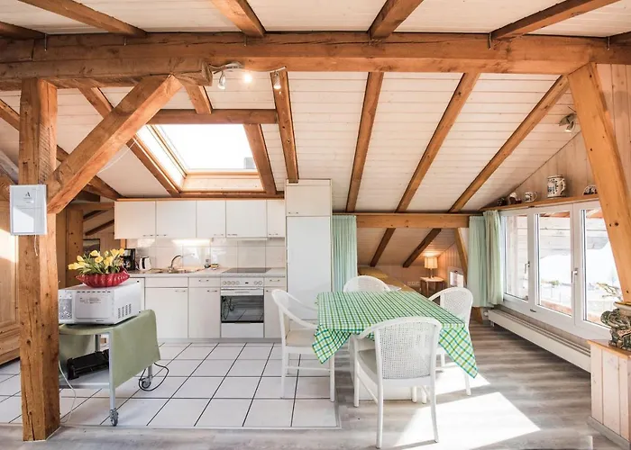 Heidi - Direct View ブリエンツ