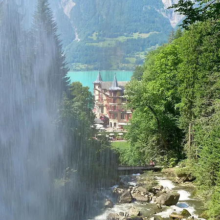 Heidi - Direct View